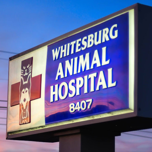 Whitesburg Animal Hospital logo
