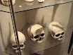 DSC01899.JPG