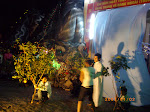 IMGP1115.JPG