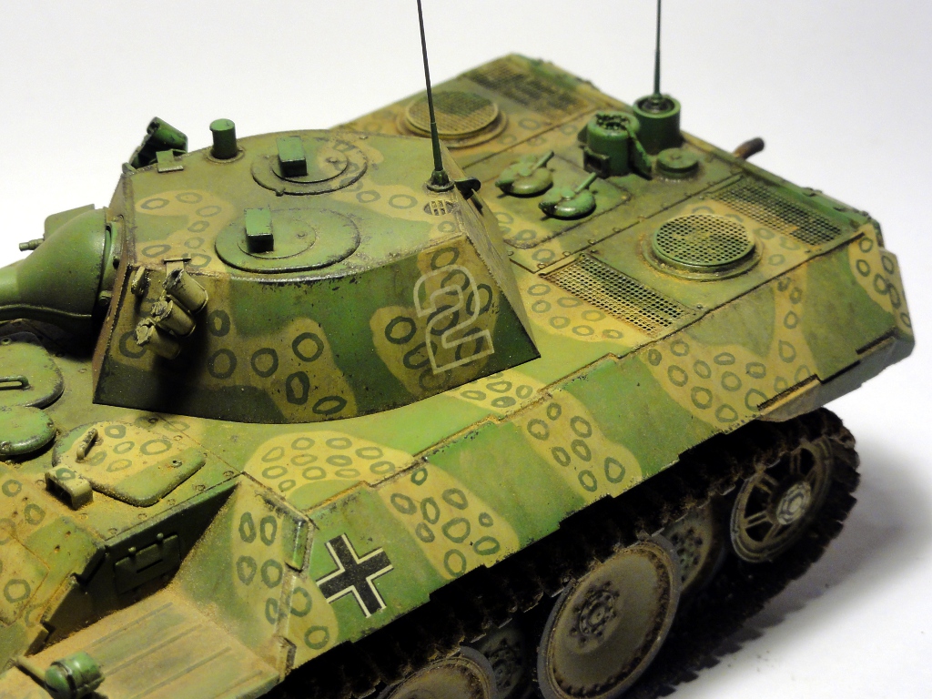 VK1602_Leopard_077.JPG