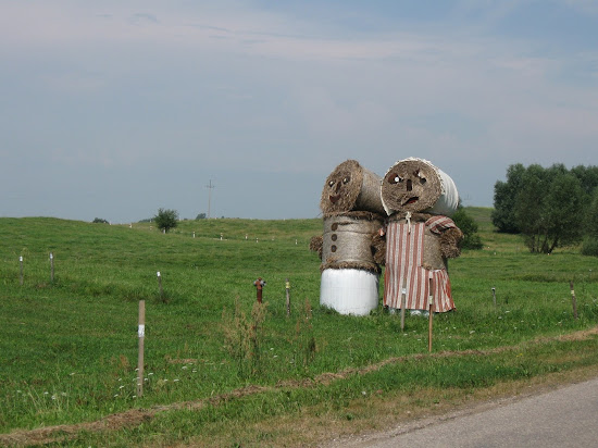 podlaskie fantazje polne