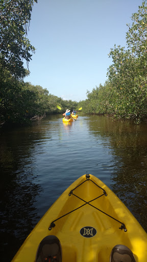 Nature Preserve «Mobbly Bayou Wilderness Preserve», reviews and photos, 423 Lafayette Blvd, Oldsmar, FL 34677, USA