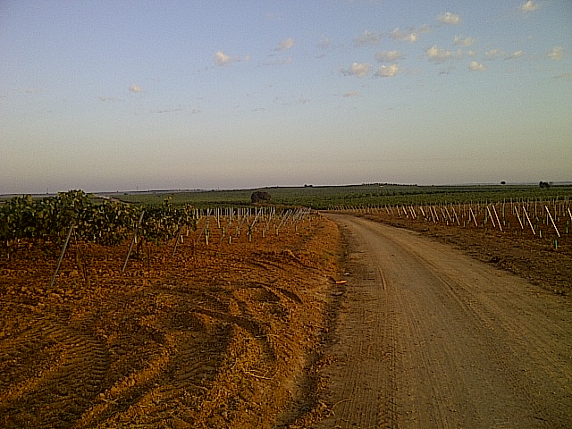 (09) 21-09-2011 Ruta de la Lana  - Página 4 El%252520Herrumblar-20110922-00055