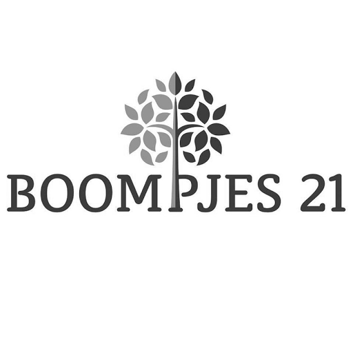 Boompjes 21 logo