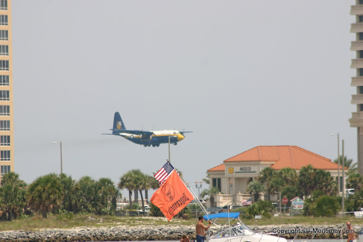 fat albert