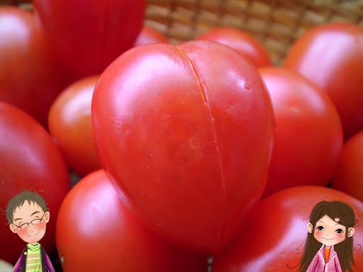 【naso之感恩的心】愛心番茄切法