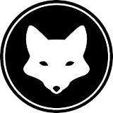 White Fox Studios | Tampa Web Design + SEO