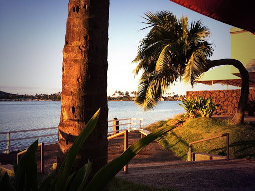 Island Brew Coffeehouse