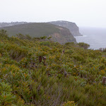 View from headland north of Bombi (22019)