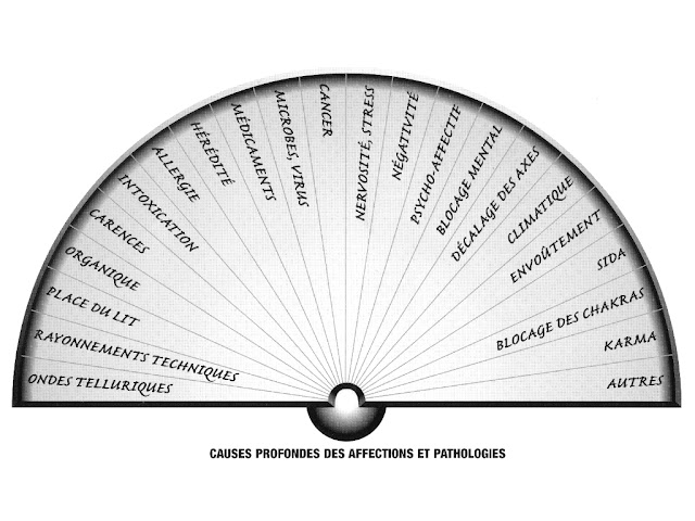 Ce qu'un voyant ,praticien, doit voir chez son consultant pour l'aider Causes%252520profondes%252520des%252520affections%252520et%252520pathologies