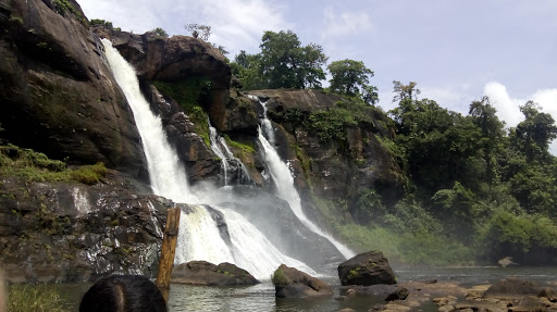 Challenger One Adventure Club, Near Athirappilly Waterfalls, Chalakudy - Anamala Rd, Pariyaram, Kerala 680724, India, Club, state KL