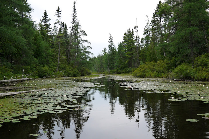 View topic - Trip report: Across Algonquin Park on the Pet 