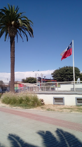 Central Alameda, Ariztía Oriente, Ovalle, Cuarta Región de Coquimbo, Chile, Concesionario de autos | Coquimbo