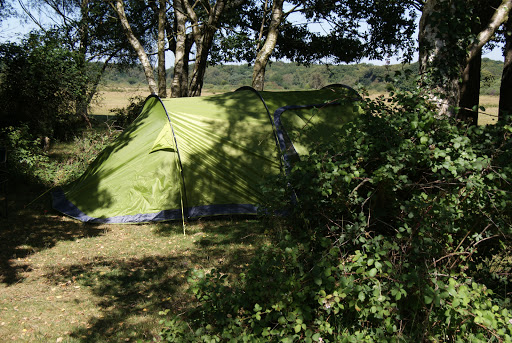 Ocknell Campsite New Forest