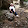 Marian Kaye Baker Marian Kaye Baker's profile photo