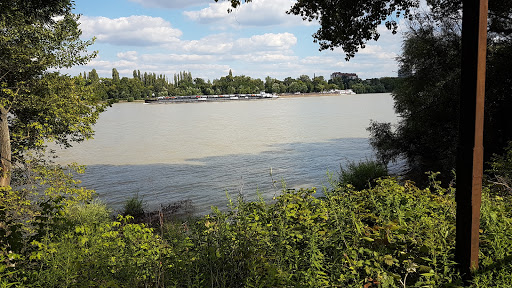 Sziget Festival