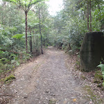 Great north walk in Northern end of Lane Cove Valley (64232)