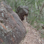Track below rock outcrop (73662)