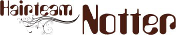 Hairteam Notter logo