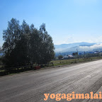 Йога-отдых. Аркаим. центр Гималаи (июль 2013)