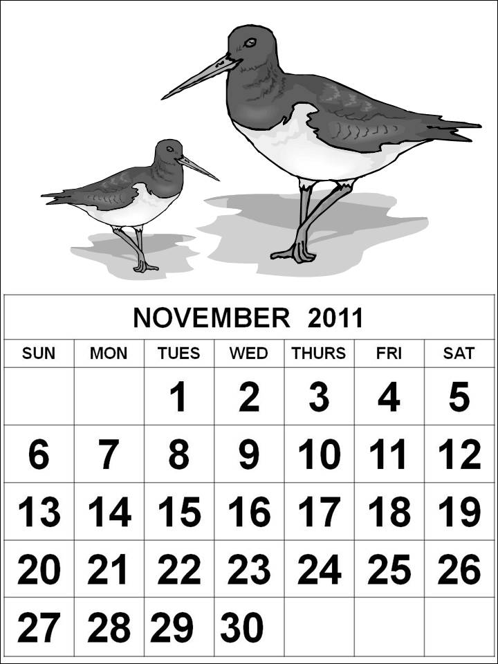 november calendar 2011. 2011 november calendar. november calendar 2011.