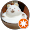 山田ハナコ