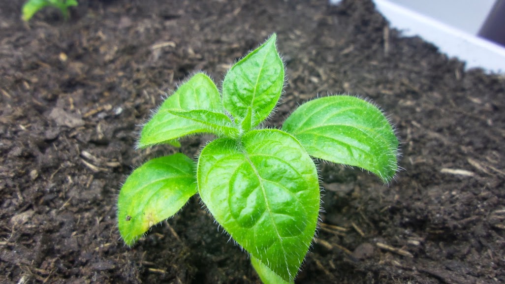 20141216_150624.jpg