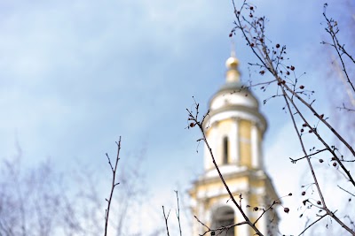 Photos of Church of St. Nicholas in Tolmachi