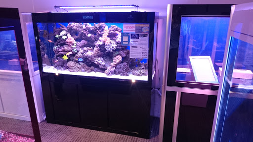 Shirley Aquatics