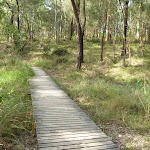 Timber boardwalk in Green Point Reserve (389606)