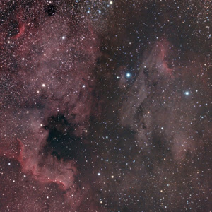 North America Nebula dn Pelican Nebula taken by Trevor Jones