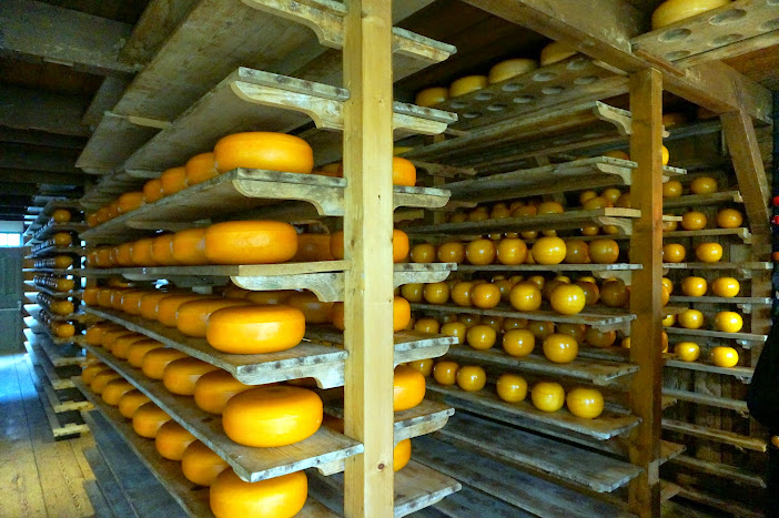 Голландские зигзаги с заездом в Бельгию.