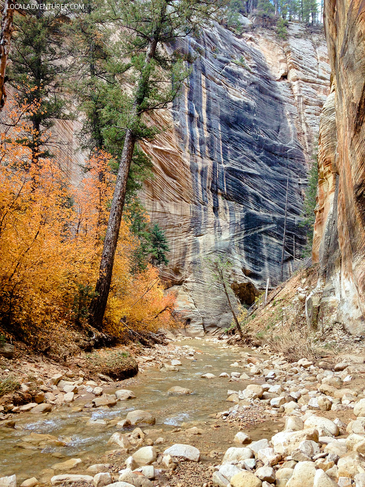 {Photo Guide} Hiking the Narrows Zion National Park Day 1.