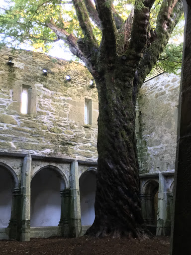 Muckross Abbey