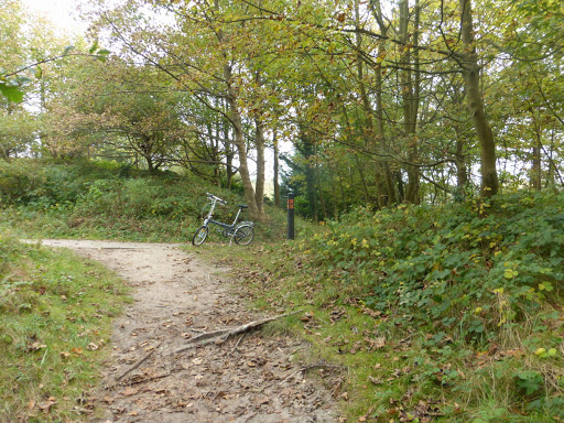 Boswachterij Westerschouwen