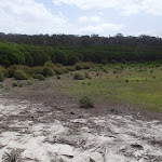 Bondi Lake (107188)