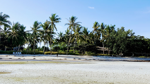 The Ananyana