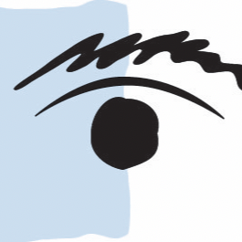 VisualEyes Optometry logo