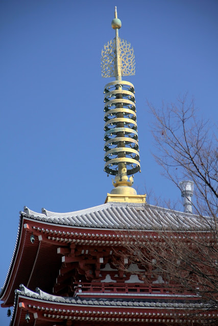 日本．東京．淺草寺．櫻花