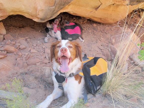 Boulder and Torrey shading up