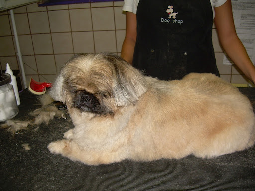 DSCN2860.JPG