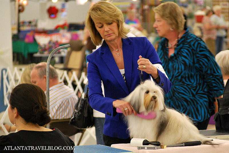 Atlanta Dog Show