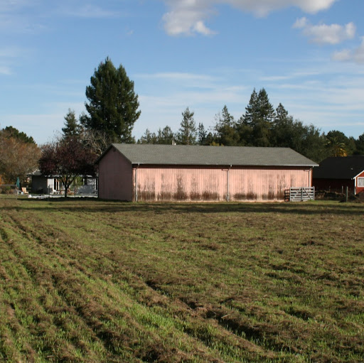 Pink Barn Farm