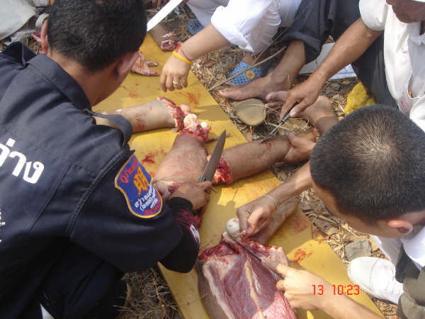 Κανίβαλοι στην Ταϋλάνδη μαγείρεύουν άνθρωπο (Σοκαριστικές εικόνες αυστηρά άνω των 18)  DSC09765