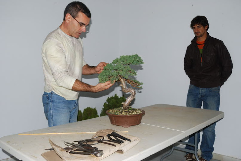 XI Exposición Invernal de bonsai de la A.S.B. Chokkan 108%252520XI%252520Exp.Inv.%252520ASBC%25252020111202%252520056