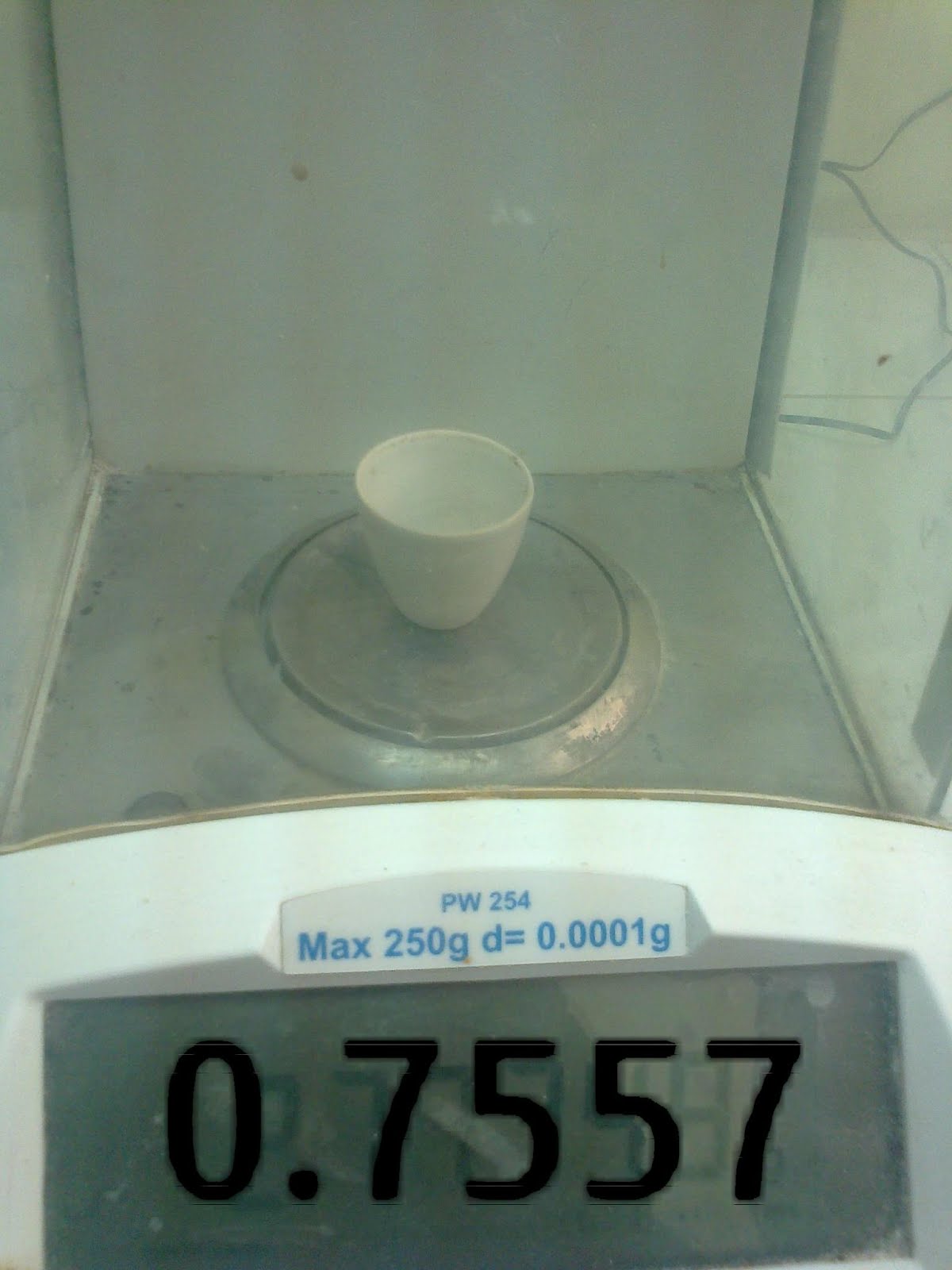 CENIZA_001.jpg