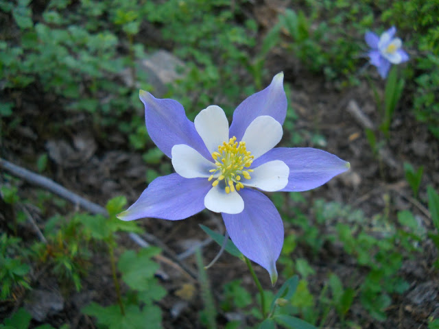DSCN5168.JPG
