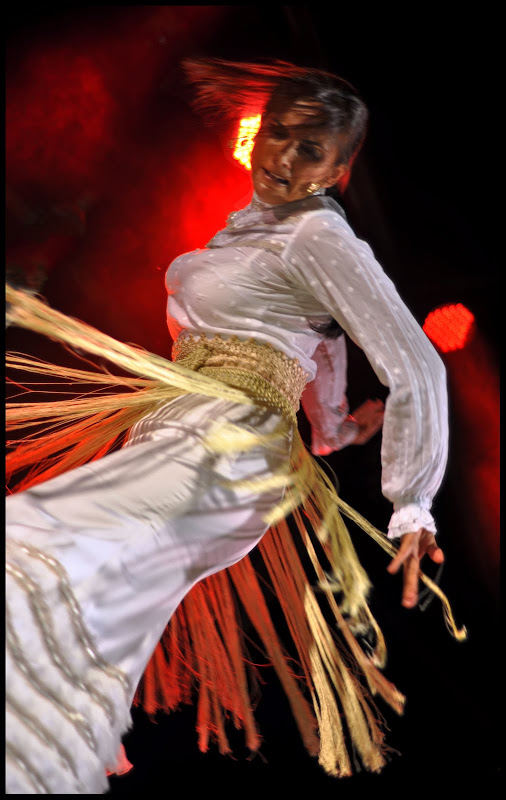 Flamenco  DSC_97211