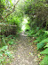 Zennor Chruchway otherwise known as the Coffin path