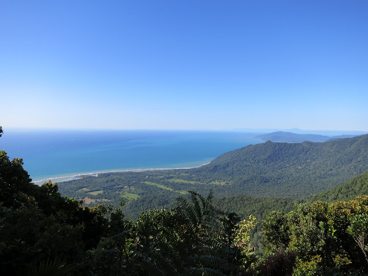 Australia de costa a costa - Blogs de Australia - Cairns, Cape Tribulation, Atherton Tablelands-9 al 14 de Agosto de 2012 (10)